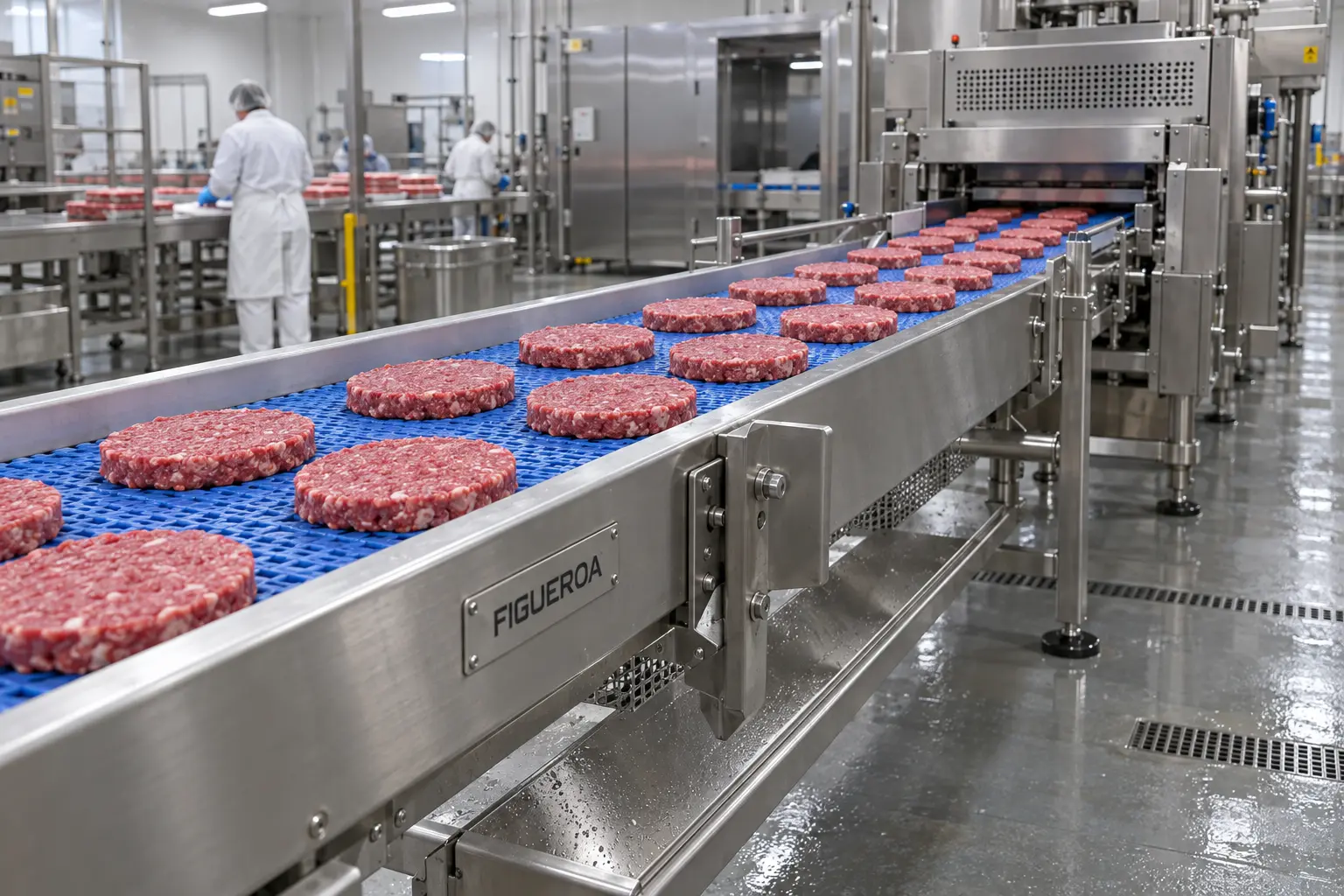 FIC-fabricated stainless conveyor carrying formed beef patties