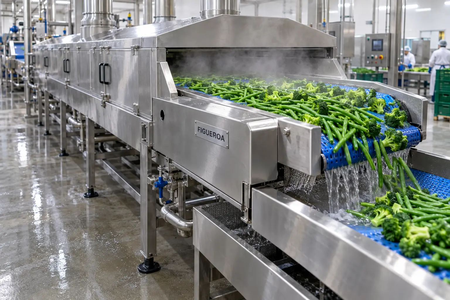 FIC-branded sanitary blanching conveyor carrying green vegetables